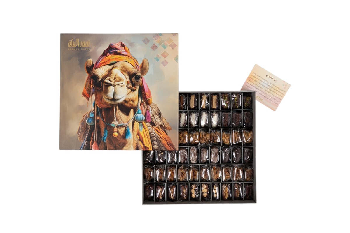 Sahara Journey Box -L