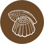 الحلويات والمخابز